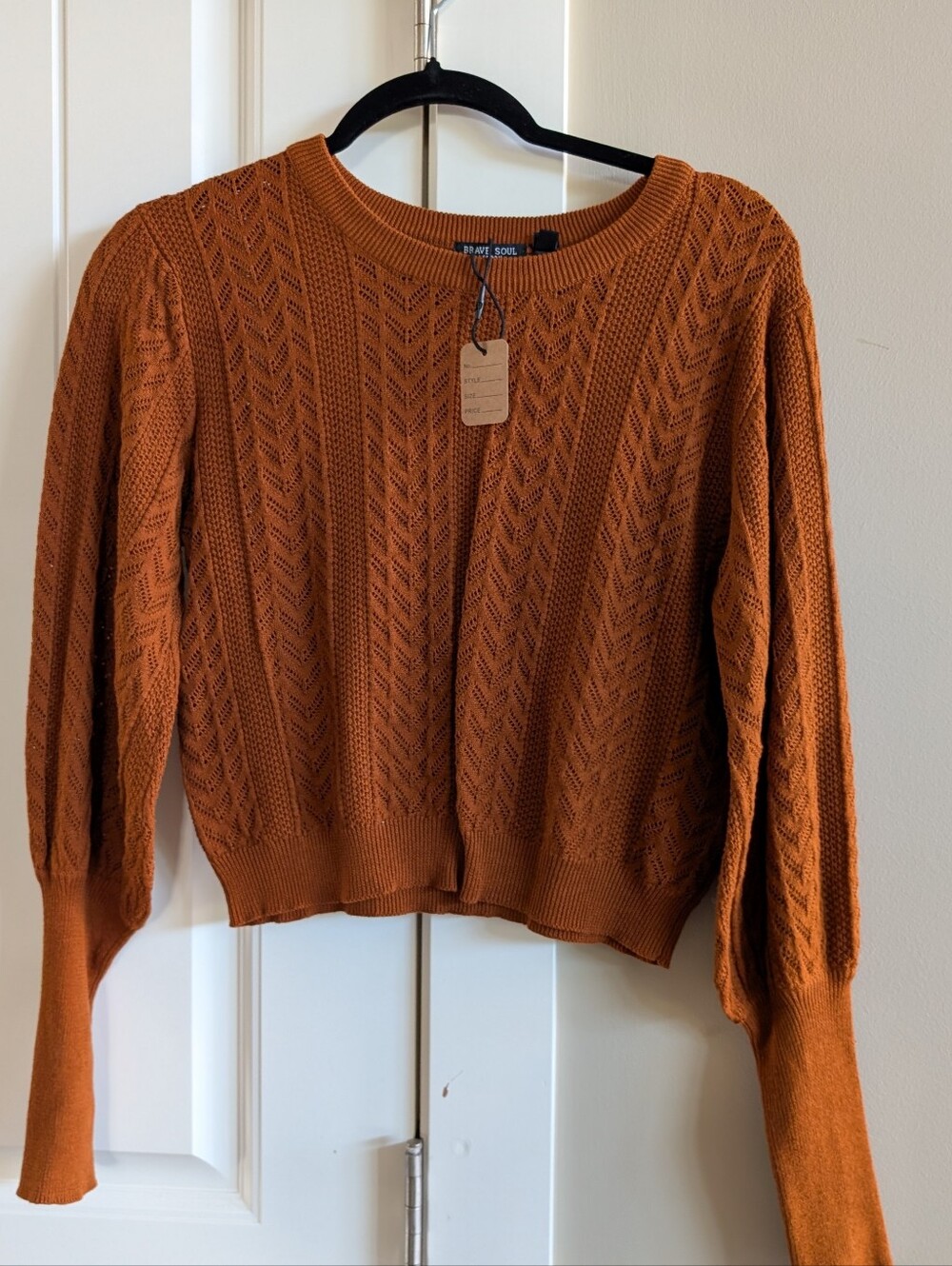 Rust Orange Knit Crewneck Crop Sweater -